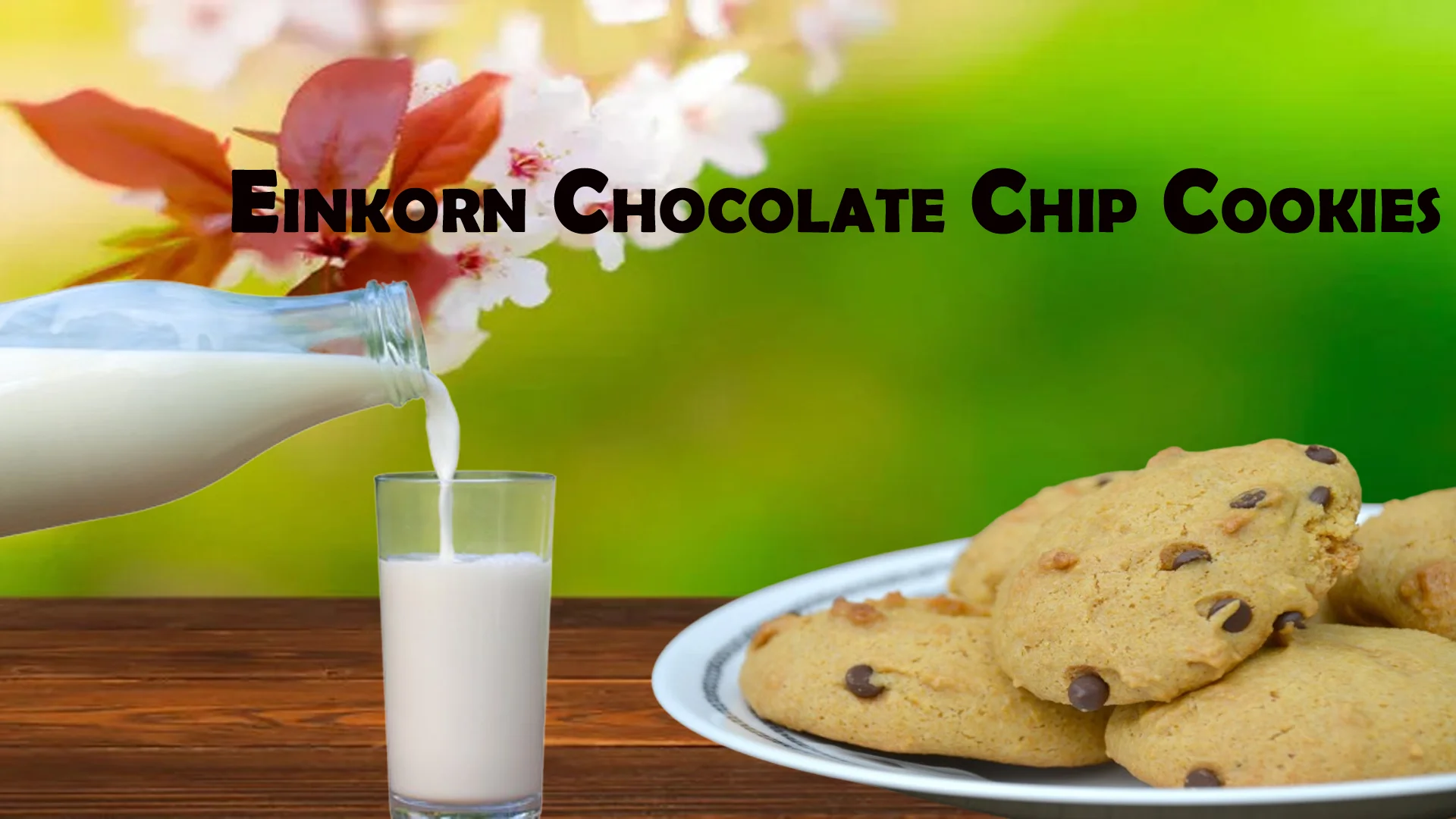 Einkorn Chocolate Chip Cookies